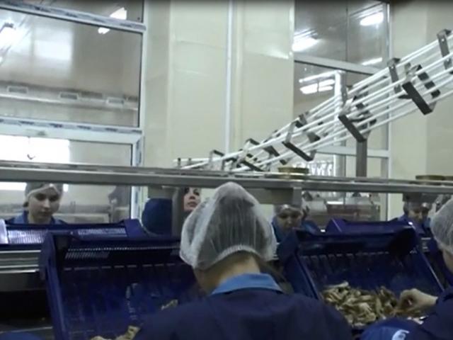 Гравитационная направляющая для пустой жестяной тары в Йошкар-Оле